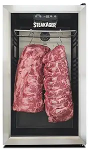 41jsvTg3QiL._SX300_SY300_QL70_FMwebp_ SteakAger PRO 40 review the ultimate compact refrigerator for dry-aged beef lovers