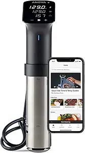 Anova Culinary Sous Vide Precision Cooker Pro review is it worth buying