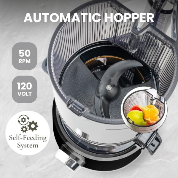 716JhEyEeL._AC_SL1080_ Sana 878 Self Feeding Juicer Review Best Masticating Juicer for Fruits and Vegetables