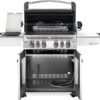 81j74fyRQ6L._AC_SL1500_ Napoleon Prestige 500 RSIB Natural Gas Grill review stainless steel performance tested